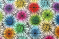 Mobile Preview: Designer- Baumwollstoff Bloom multicolor (10 cm)